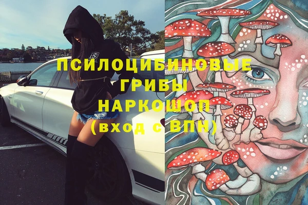 прущий лед Алзамай
