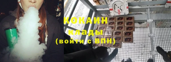 прущий лед Алзамай